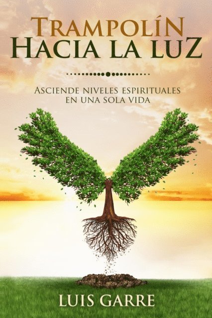 Luis Garre - Trampolin hacia la luz, E-bok