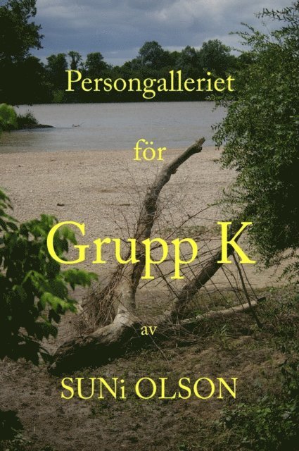Suni Olson - Arbetsnamn Grupp K - Persongalleri, E-bok