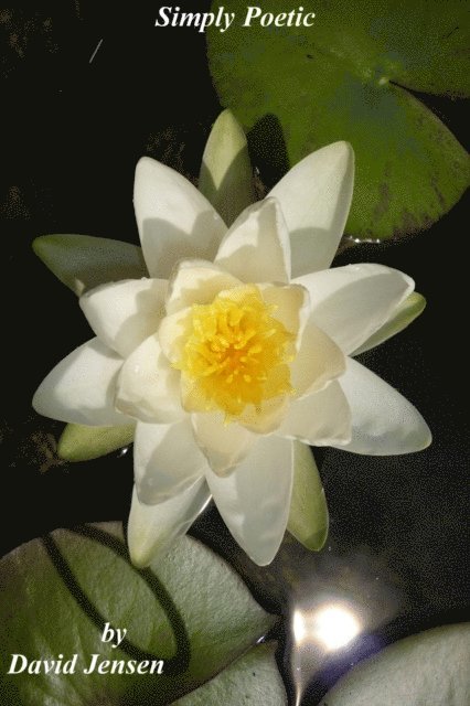 David Jensen - Simply Poetic, E-bok
