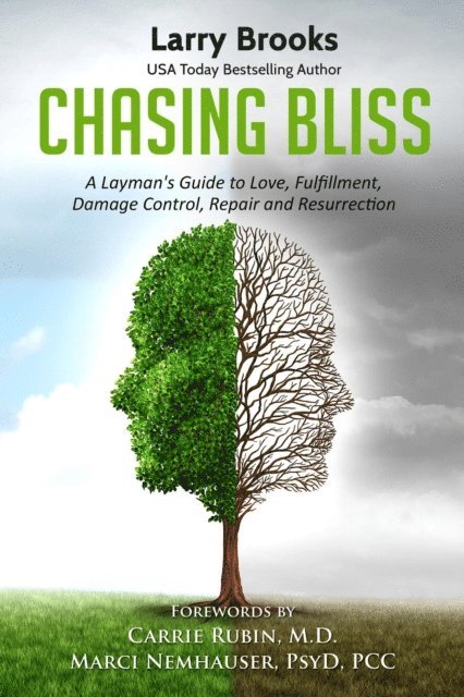Larry Brooks - Chasing Bliss: A Layman's Guide to Love, Fulfillment, Damage Control, Repair and Resurrection, E-bok