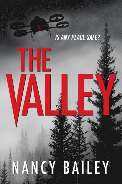 Nancy Bailey - Valley, E-bok
