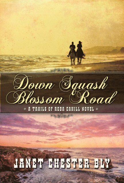Janet Chester Bly - Down Squash Blossom Road, E-bok. Tillgänglighet: Lägg i varukorg