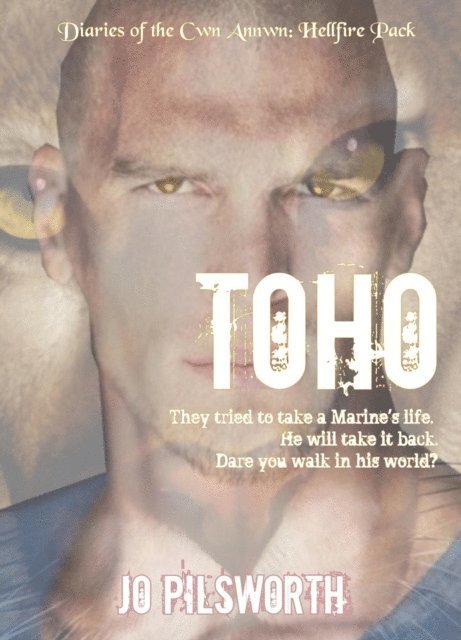 Jo Pilsworth - Toho: Diaries of the Cwn Annwn Vol 7, E-bok