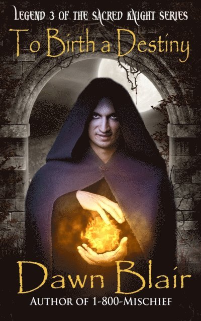 Dawn Blair - To Birth a Destiny, E-bok