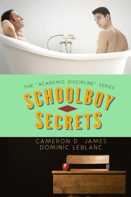 Dominic Leblanc, Cameron D. James - Schoolboy Secrets, E-bok