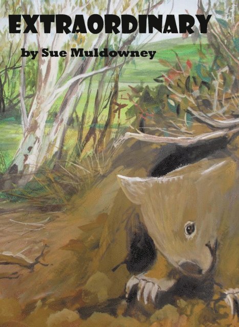 Sue Muldowney - Extraordinary, E-bok