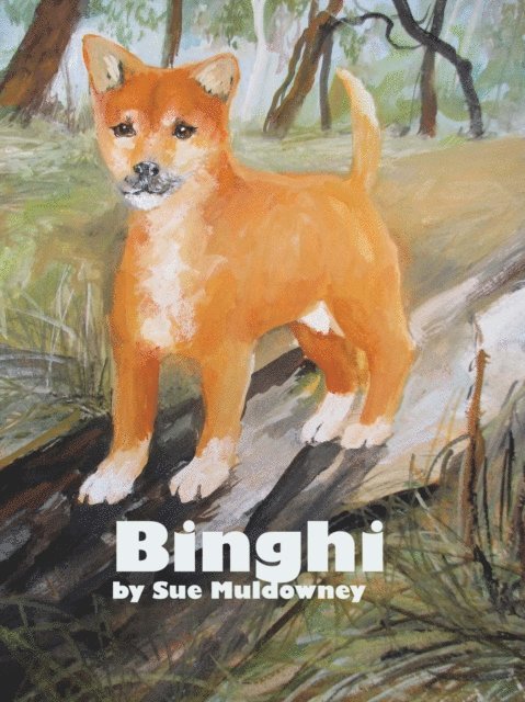 Sue Muldowney - Binghi, E-bok