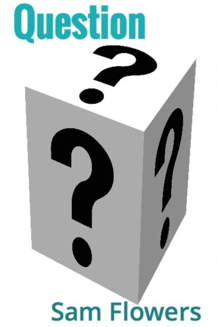 Sam Flowers - Question, E-bok