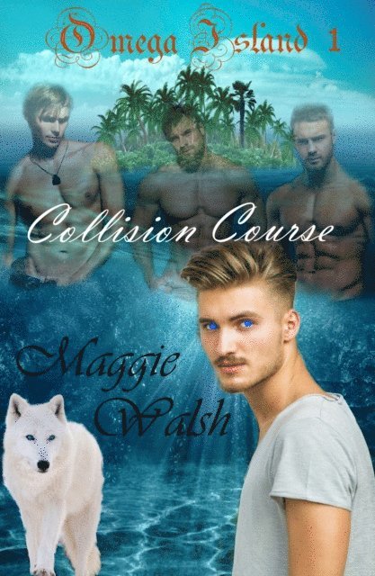 Maggie Walsh - Collision Course (Omega Island Book 1), E-bok