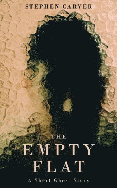 Stephen Carver - Empty Flat, E-bok