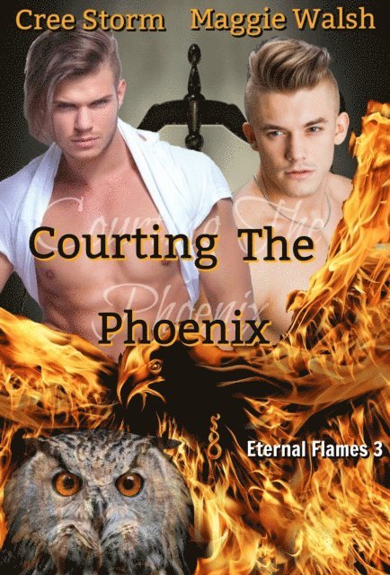 Maggie Walsh, Cree Storm - Courting The Phoenix Eternal Flame 3, E-bok