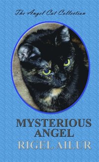 Mysterious Angel