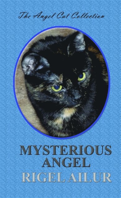 Rigel Ailur - Mysterious Angel, E-bok