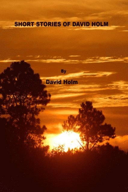 David Holm - Short Stories of David Holm, E-bok