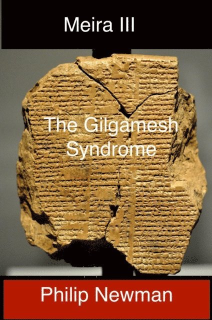 Philip Newman - Book III Meira and the Gilgamesh Syndrome, E-bok