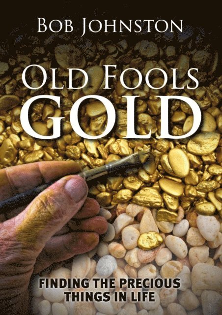 Bob Johnston - Old Fool's Gold, E-bok