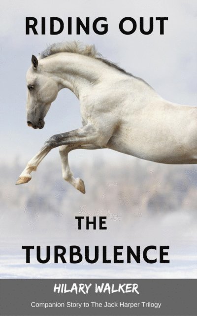 Hilary Walker - Riding Out the Turbulence: Companion Short Story to The Jack Harper Trilogy, E-bok