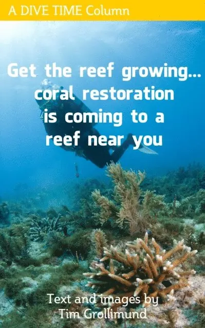 Get The Reef Growing... Coral Restoration Is Coming To A Reef Near You