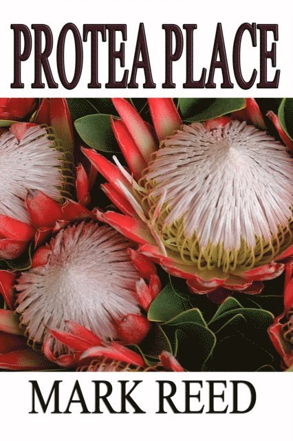 Mark Reed - Protea Place, E-bok