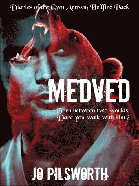Jo Pilsworth - Medved: Diaries of the Cwn Annwn Vol 8, E-bok