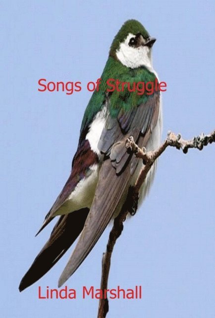 Linda Marshall - Songs of Struggle, E-bok