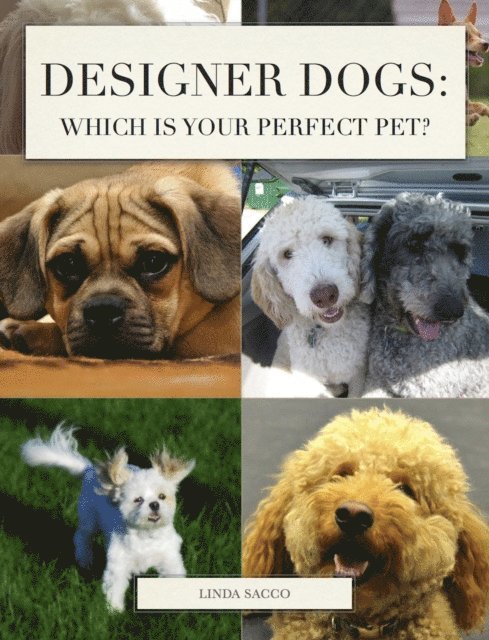 Linda Sacco - Designer Dogs: Which is Your Perfect Pet?, E-bok. Tillgänglighet: Lägg i varukorg