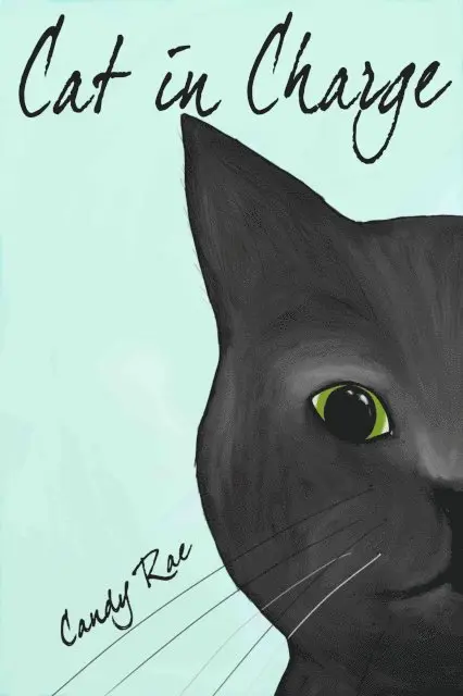 Candy Rae - Cat in Charge, E-bok. Tillgänglighet: Lägg i varukorg