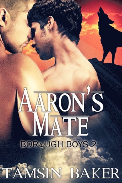 Tamsin Baker - Aaron's Mate, E-bok