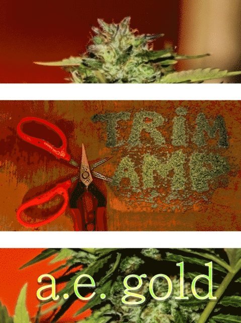 Trim Kamp