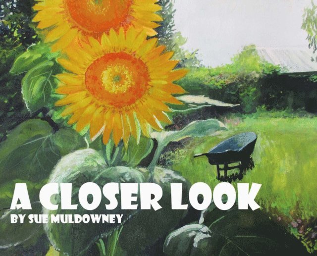 Sue Muldowney - Closer Look, E-bok