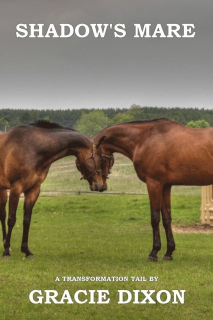 Gracie Dixon - Transformation Tales: Shadow's Mare, E-bok