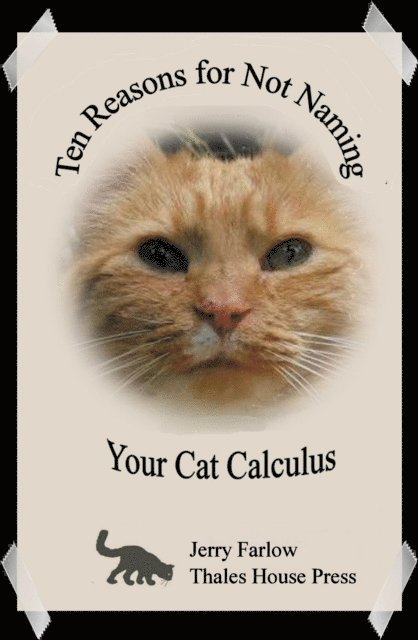 Jerry Farlow - Ten Reasons for Not Naming Your Cat Calculus, E-bok