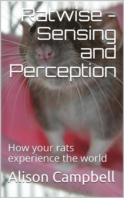 Alison Campbell - Ratwise - Sensing and Perception (How your rats experience the world), E-bok. Tillgänglighet: Lägg i varukorg
