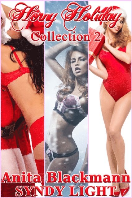 Syndy Light - Horny Holiday Collection 2, E-bok