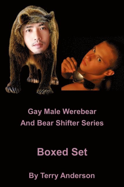 Terry Anderson - Gay Male Werebear And Bear Shifter Series Boxed Set, E-bok