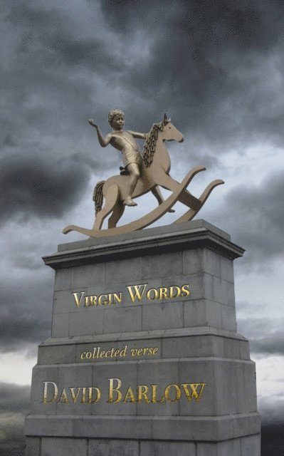 David Barlow - Virgin Words, E-bok