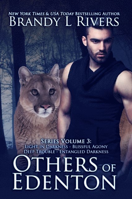 Brandy L Rivers - Others of Edenton: Series Volume 3, E-bok