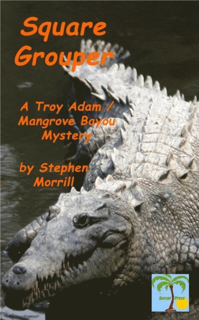 Stephen Morrill - Square Grouper, E-bok