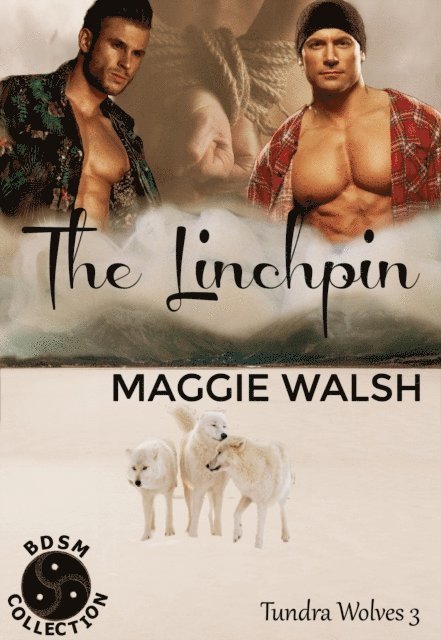Maggie Walsh - Linchpin, E-bok