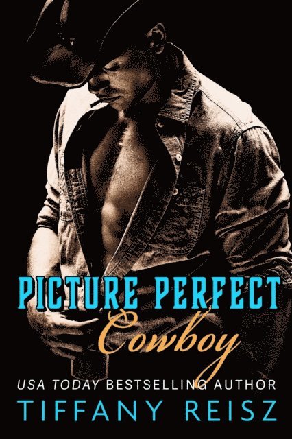 Tiffany Reisz - Picture Perfect Cowboy, E-bok