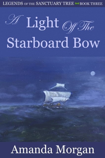 Amanda Morgan - Light Off the Starboard Bow, E-bok