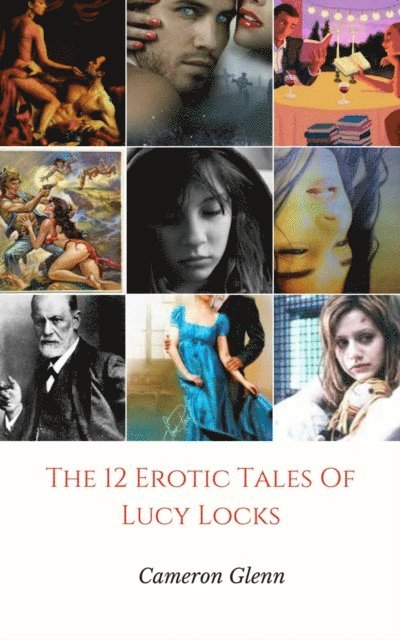 Cameron Glenn - 12 Erotic Tales of Lucy Locks, E-bok. Tillgänglighet: Lägg i varukorg