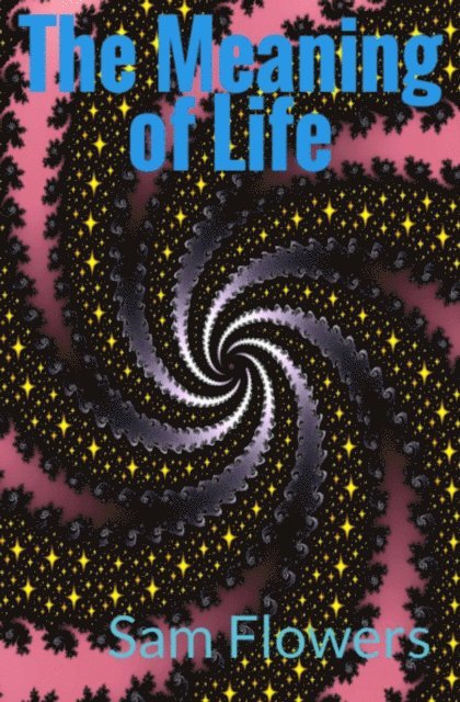 Sam Flowers - Meaning of Life, E-bok