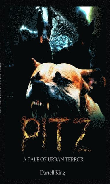 Darrell King - Pitz- A Tale Of Urban Terror, E-bok