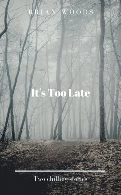 Brian Woods - It's Too Late, E-bok