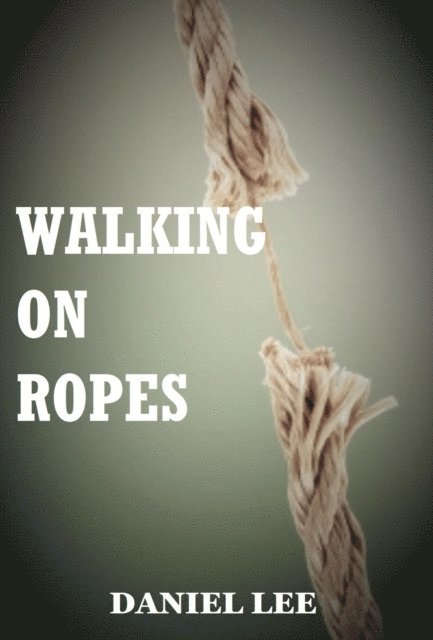 Daniel Lee - Walking On Ropes, E-bok