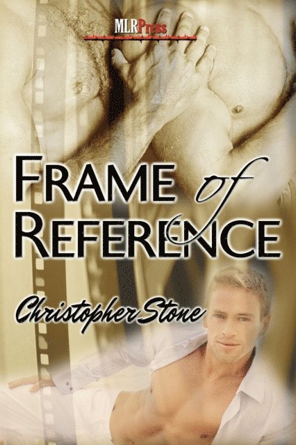 Christopher Stone - Frame of Reference, E-bok
