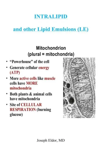 Joseph Eldor - Intralipid and other Lipid Emulsions, E-bok. Tillgänglighet: Lägg i varukorg