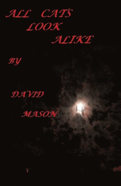 David Mason - All Cats Look Alike., E-bok