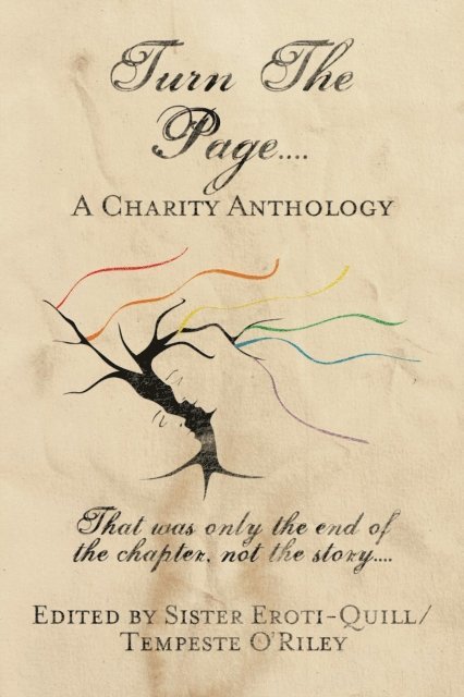 D. Zander Crane, Antonia Aquilante, Mark Zubro, Hope Ryan, Carole Cummings, Aine Massie, Sue Brown, Grace R. Duncan, Nikki Prince, Dianne Hartsock, Tempeste O'Riley - Turn The Page...., E-bok